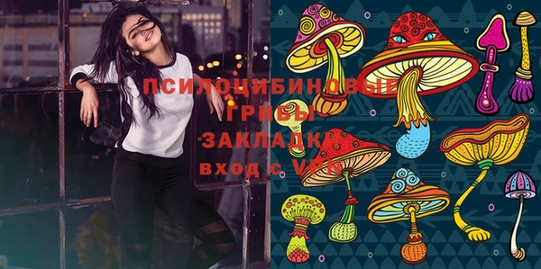 герыч Алзамай