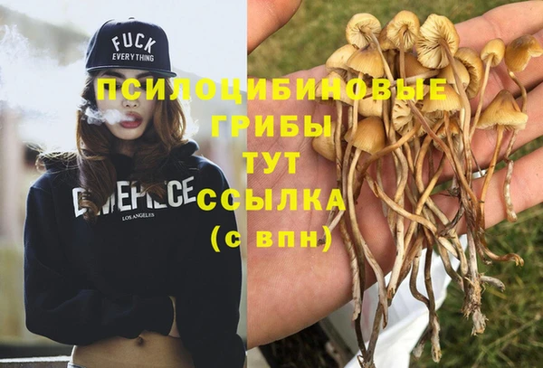 герыч Алзамай
